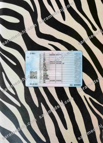 Turkey driving license photolook BACK